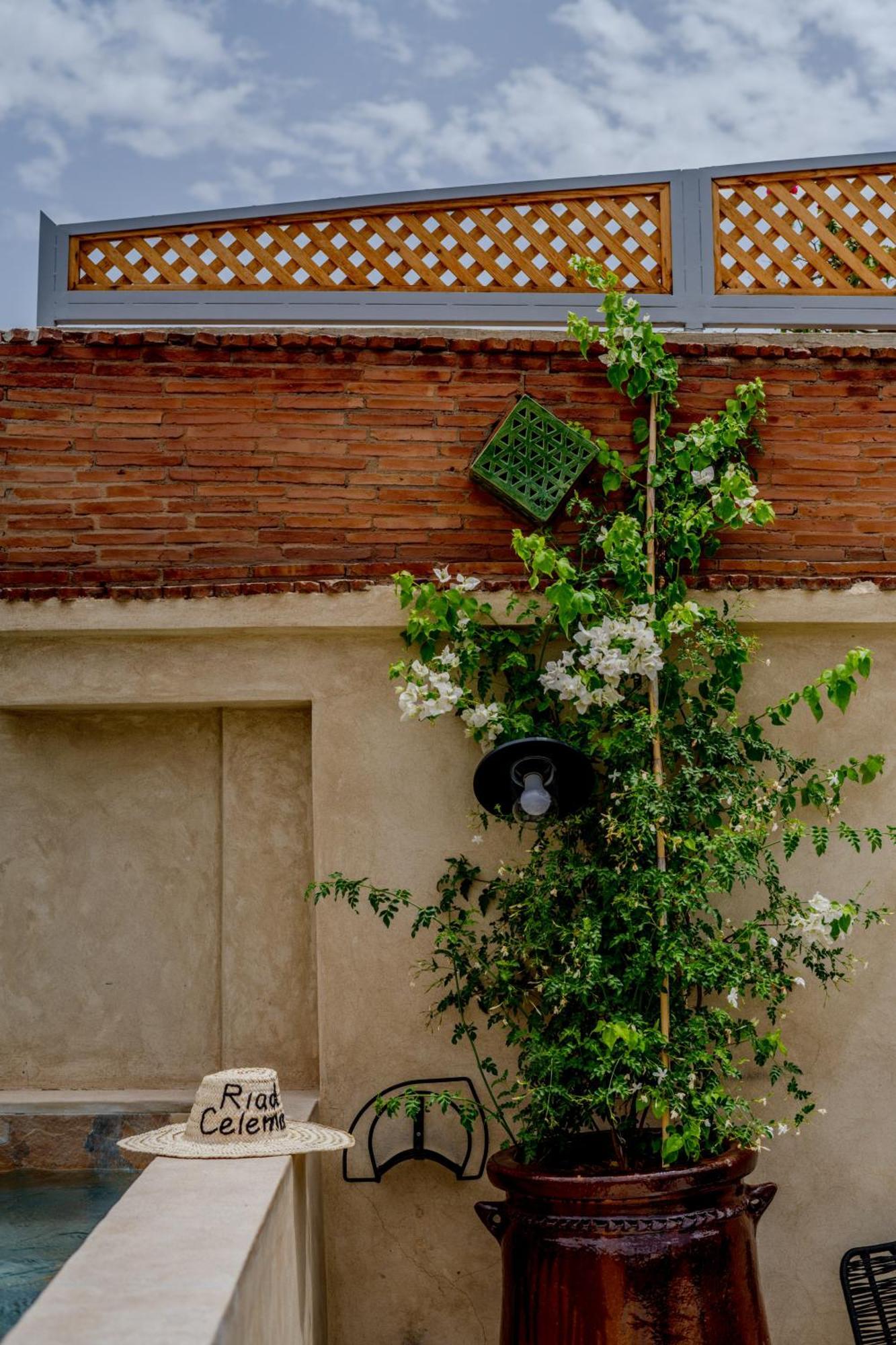 Riad Celema & Spa Marrakesh Ngoại thất bức ảnh